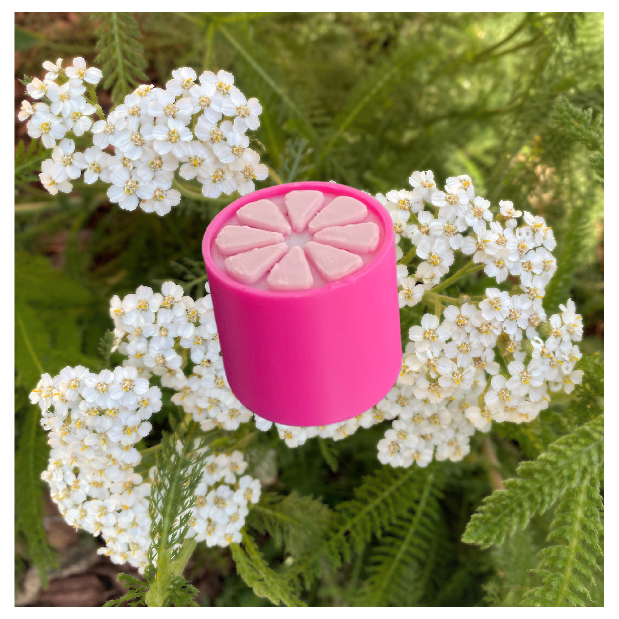 EP-133 Fruit Knob Set