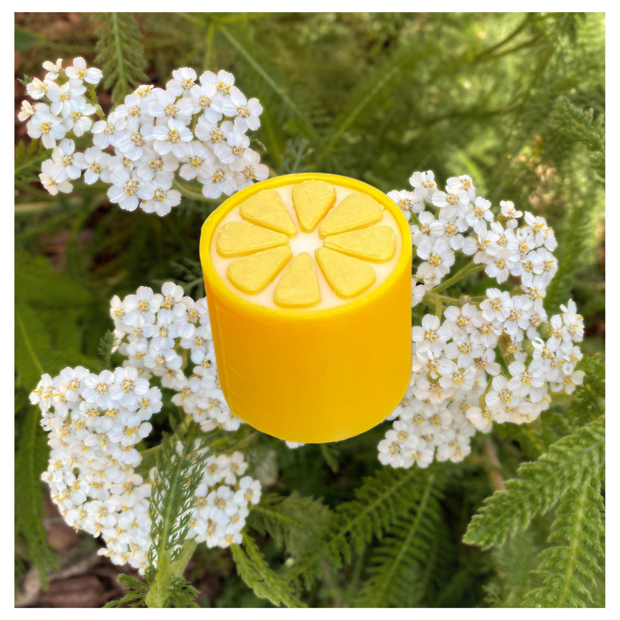 EP-133 Fruit Knob Set