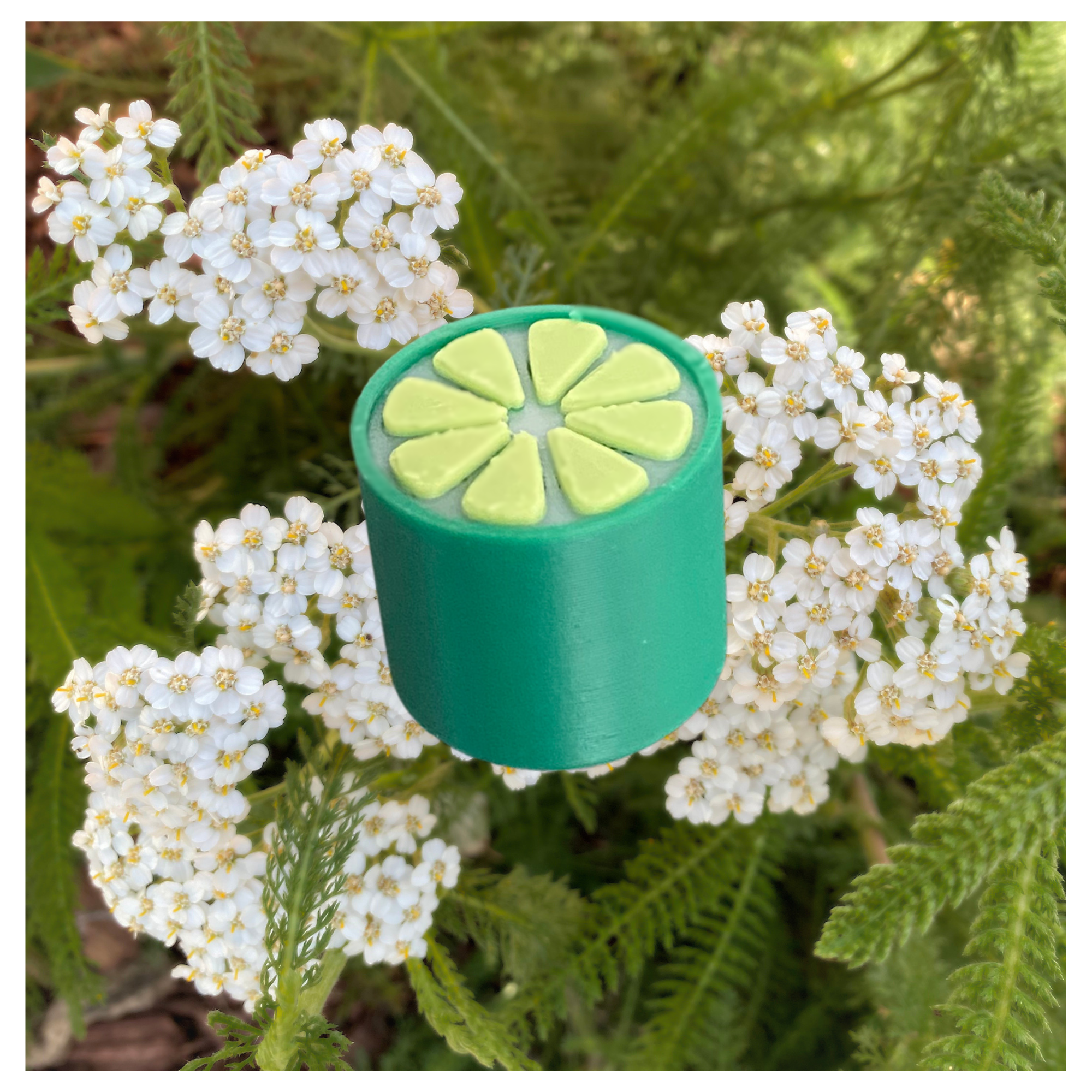 EP-133 Fruit Knob Set